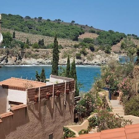 Studio Acces Direct A La Plage Banyuls-sur-Mer Eksteriør bilde